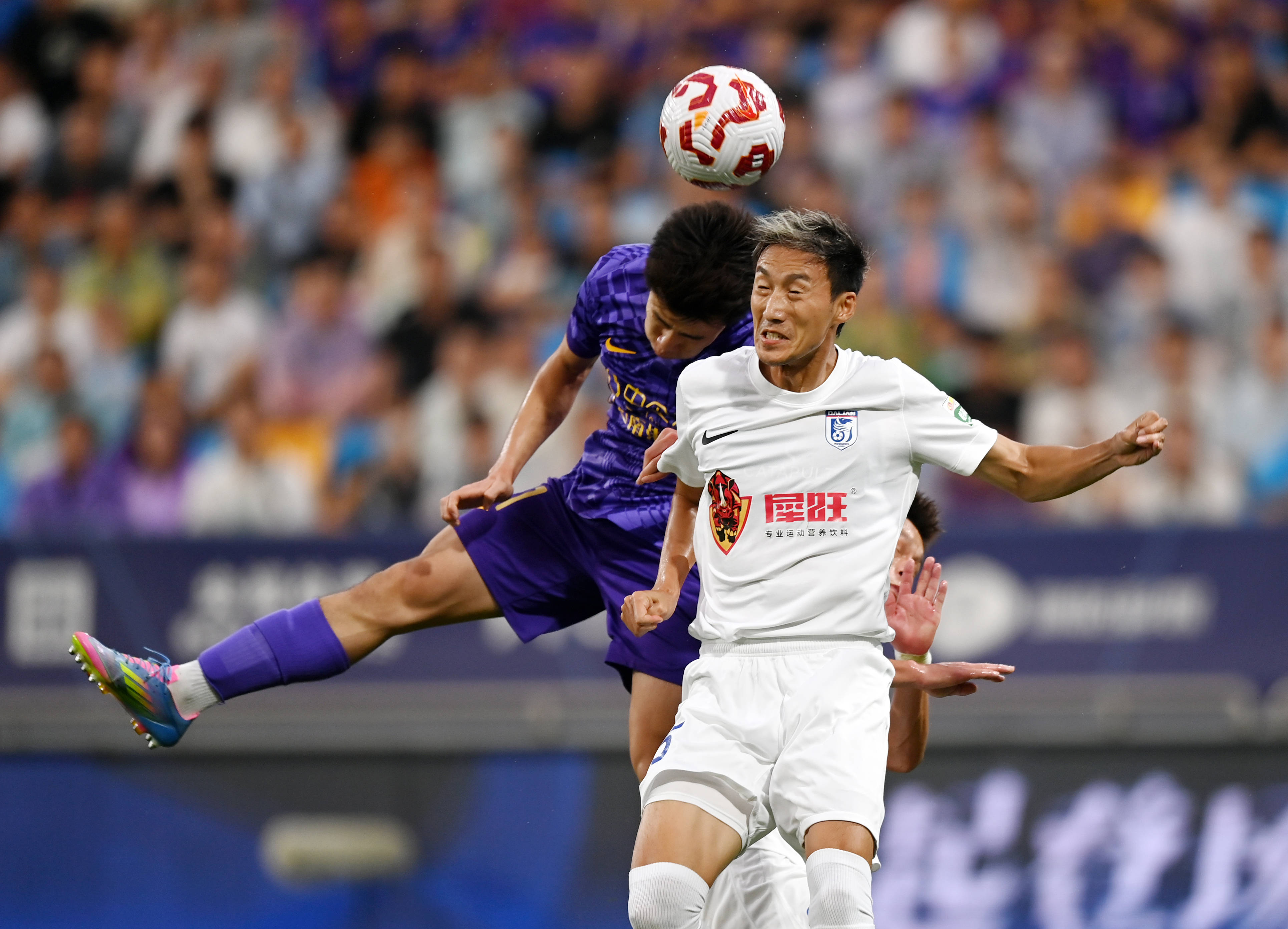 不仅确保了 不仅确保了